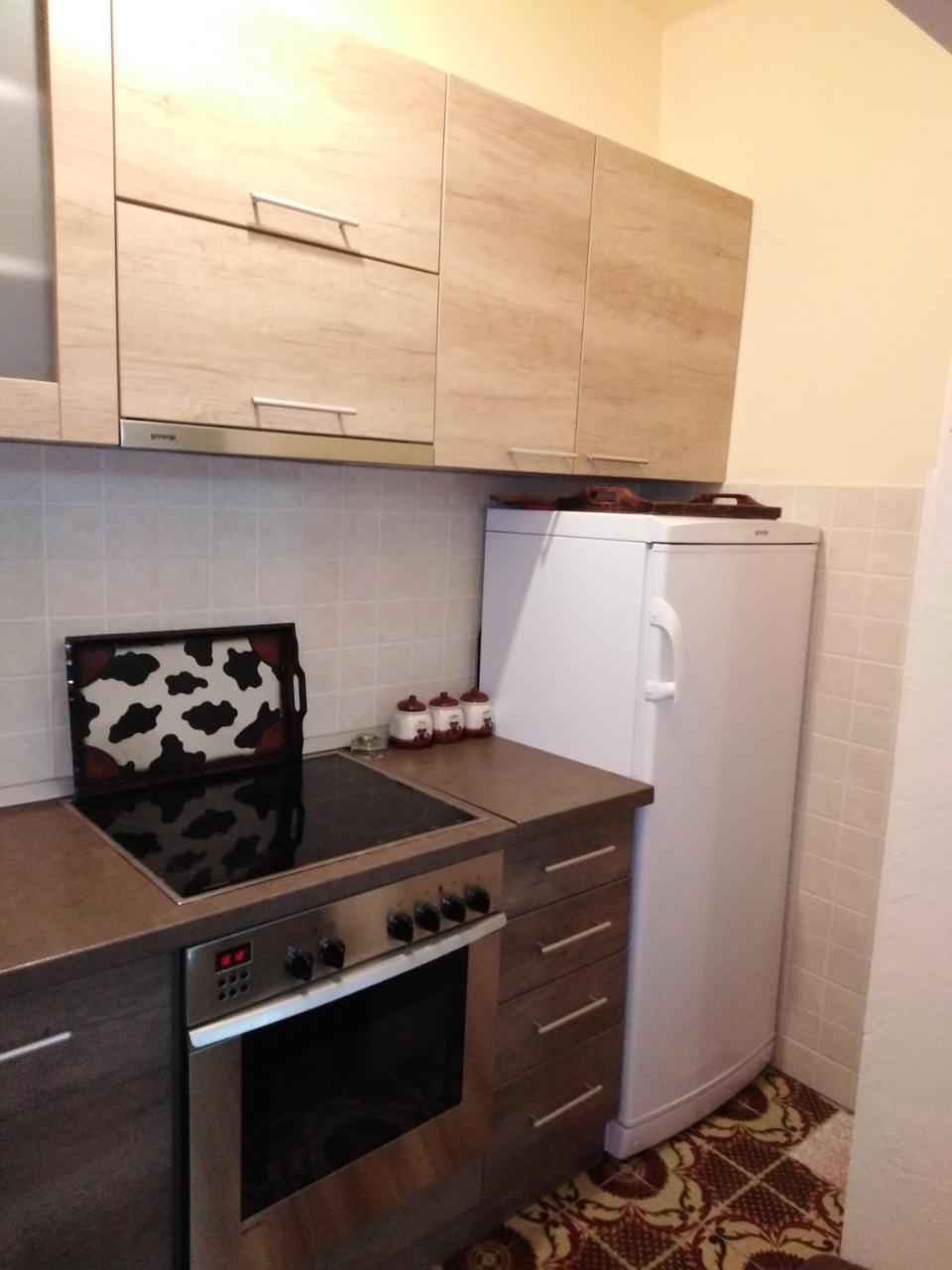 Mala Basta Apartment Баина Баща Екстериор снимка