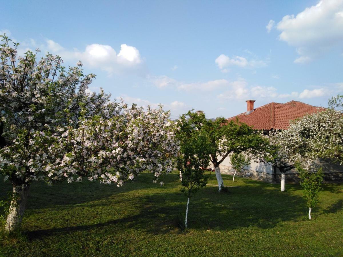 Mala Basta Apartment Баина Баща Екстериор снимка